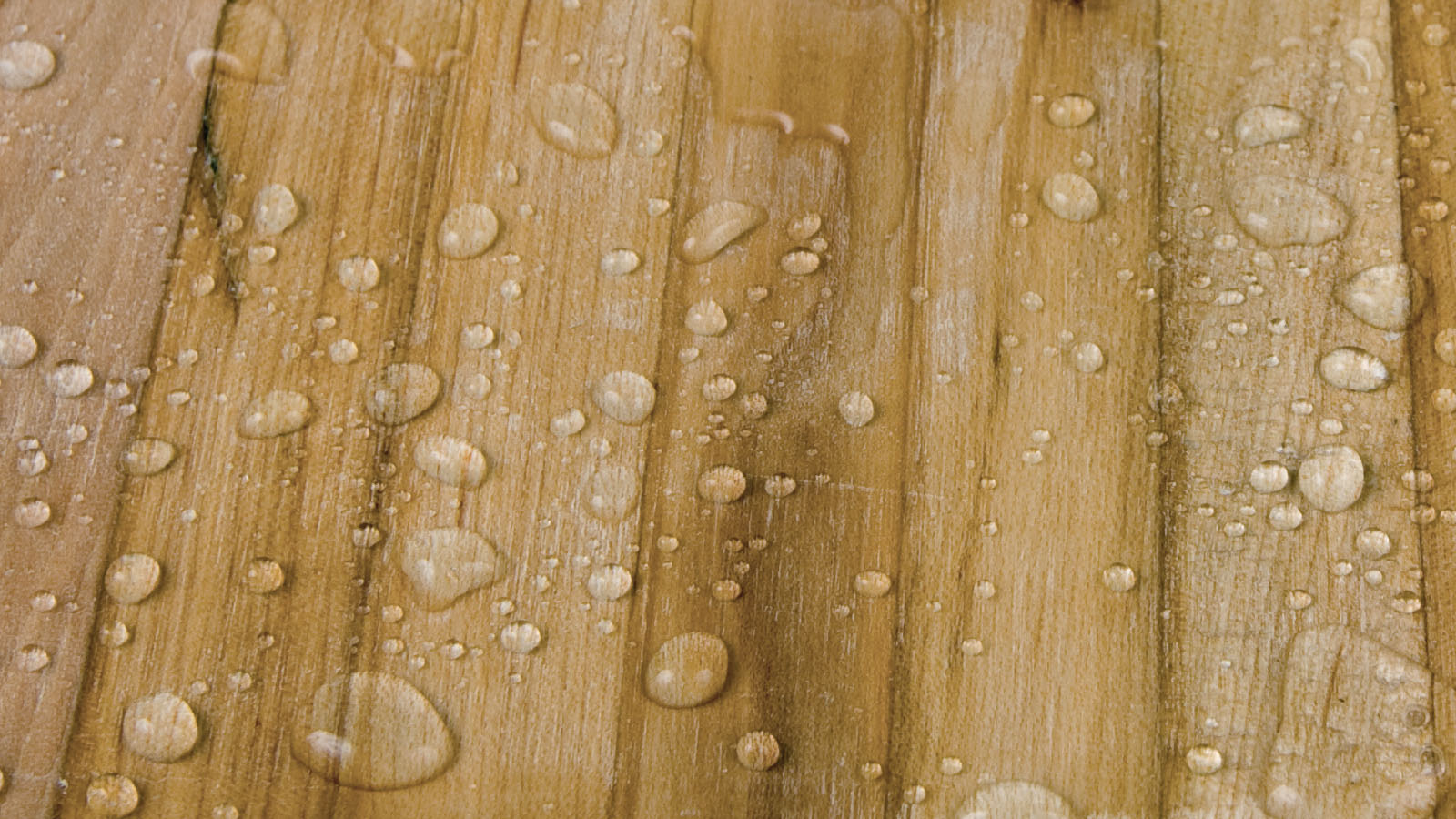 Humidity protection Waxin on a wood trailer floor