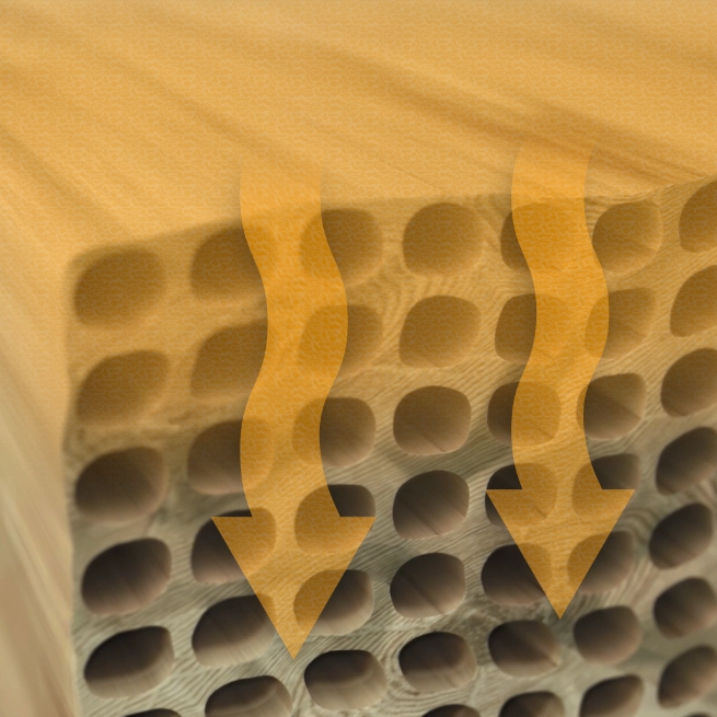 Image microscopique de la paraffine solide pénétrant le bois du plancher de semi-remorque en profondeur